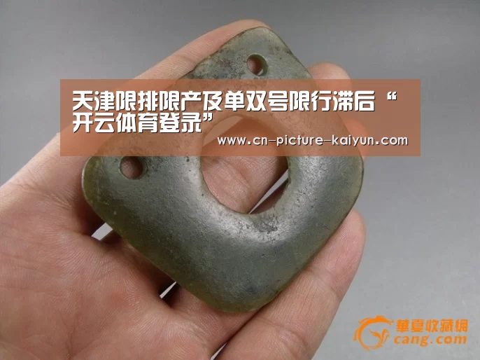 开云体育登录